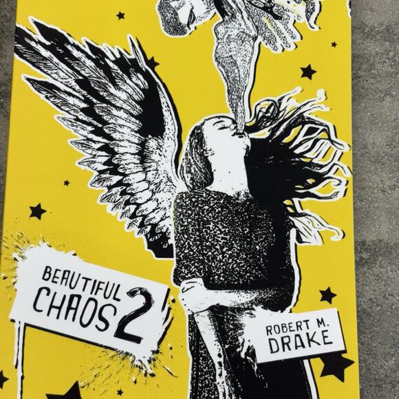 Robert M Drake Poetry Book Bundle Of 4 Chaos Theory Dead Pop Art Great Artist - Picture 4 of 9